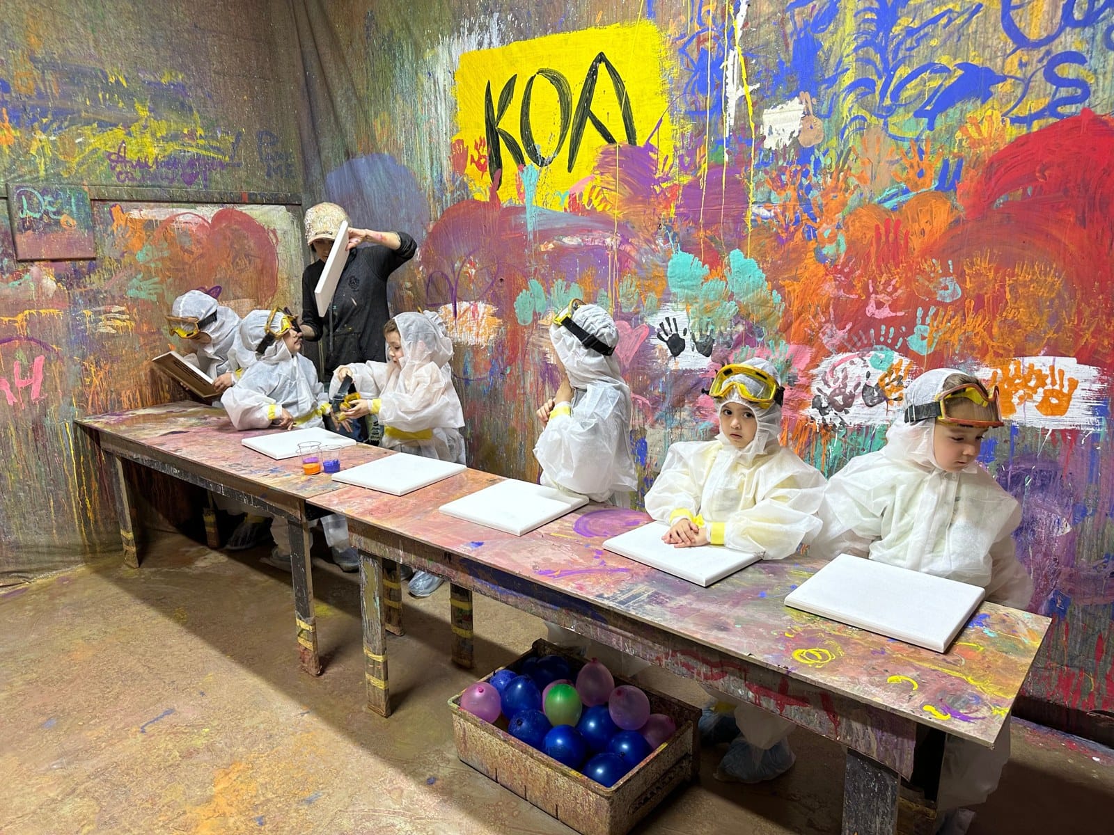 Koa